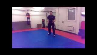 Learn English Backsword  Basic Stance [upl. by Nrubliw]