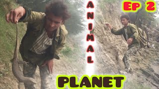 Man vs wild in hindi  wildlife episode 2  beargrylls video trendingvideo wildlife beargrylls [upl. by Ekle487]