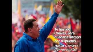 Mi Comandante Chavez Tu eres mi hermano del alma realmente el amigo [upl. by Ycnay]