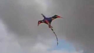 Giant 3D Blackwing Pterodactyl kite 2 [upl. by Yojenitsirk]