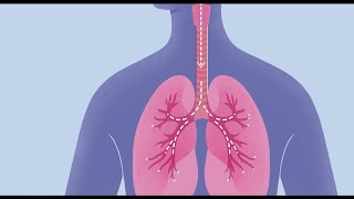 How COVID19 Affects Your Lungs [upl. by Uel]