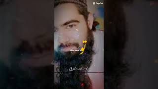 Sheikh Saadi  شیخ سعدی شیرازی youtubeshorts hafizmumerfarooq4216 [upl. by Nev]