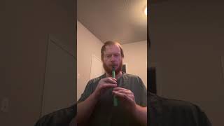 Humors of Whiskey Balad Custom 3D printed Tin whistle [upl. by Eart254]