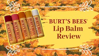 Burts Bees Lip Balm review  Vlogmas 2018 Day 11 [upl. by Dutchman204]