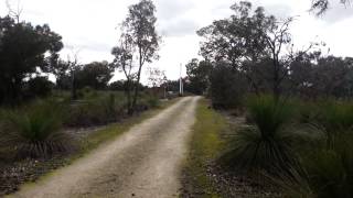 Bennett Brook Railway wig wag signal [upl. by Knowlton907]