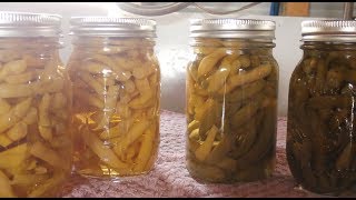 How to safely can fresh picked green beans amp wax beans [upl. by Sirovat]