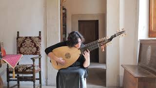 J S Bach  Lute Suite in E Major BWV 1006a  Evangelina Mascardi Baroque Lute [upl. by Ewolram]