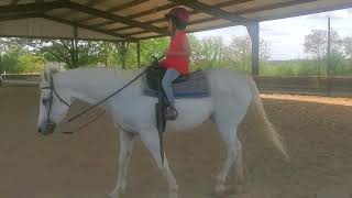 Horseback Riding Lessons for Kids Learning to Ride a Horse Walk Jog Circles [upl. by Asirb]