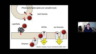 Optical control of Sphingosine1phosphate formation and function  Mar 22 2021 [upl. by Ardnos]