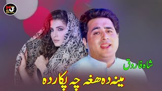 Shah Farooq Pashto Tapay Tapaezy  Meena Da Hagha Cha Pakar Da  New Pashto Tapay 2024  شاہ فاروق [upl. by Bergren]