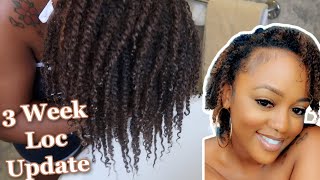 3 Week Starter Locs Update  First Wash [upl. by Rhynd567]