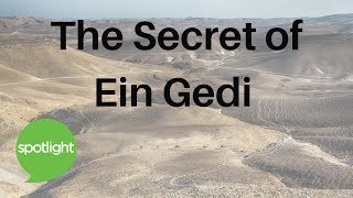 The Secret of Ein Gedi  practice English with Spotlight [upl. by Andrel691]