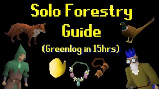 Solo Forestry Guide Greenlog in 15 Hours [upl. by Ssitruc900]