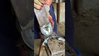 Fascinating donkey hoof trimming video丨ASMR丨Donkey hoof cutting sound [upl. by Aurelius]