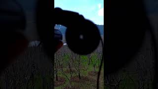 Zoom test Celestron Binocular 8×21 binocular camping [upl. by Selij556]