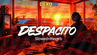 Despacito  SlowedReverb  DEXQ59 [upl. by Kermit]