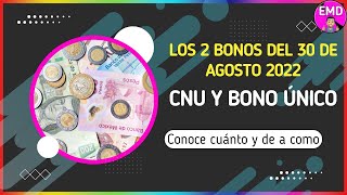 Los 2 Bonos docentes CNU y Bono Único Del 30 De Agosto 2022 [upl. by Natalee323]