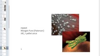 Introduction to the Bowel Nosodes [upl. by Anse]