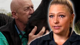 The Incredible Dr Pol Canceled After 24 Seasons and 13 Years What Happened [upl. by Steele]