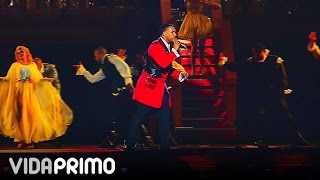 DON OMAR POBRE DIABLA HECHO EN PUERTO RICO [upl. by Xylon]