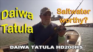 DAIWA TATULA  HD200HS Saltwater Worthy [upl. by Pozzy528]