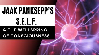 Jaak Paanksepp’s SELF amp The Wellspring of Consciousness [upl. by Inkster]