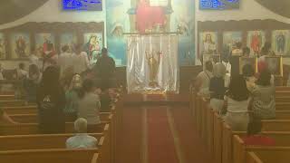 St Philopater amp St Mina Coptic Orthodox Church Live Stream [upl. by Benoite]