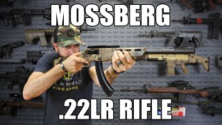 Fun Plinker  The Mossberg Blaze 22LR Rifle [upl. by Fronnia]