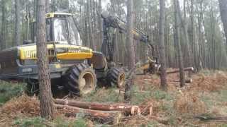 Abatteuse ébrancheuse en forêt de Moulière [upl. by Idham440]