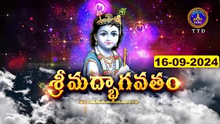 శ్రీమద్భాగవతం  Srimad Bhagavatham  Kuppa Viswanadha Sarma  Tirumala  16092024  SVBC TTD [upl. by Enneyehs]