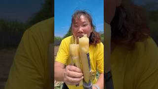 Enjoying beautiful nature life and eating delicious sugarcane fruit satisfying nature shorts [upl. by Eclud]