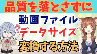 動画ファイル規格やデータ容量サイズを変換！使い方解説。便利なソフトHitPaw Video Converter [upl. by Camey290]