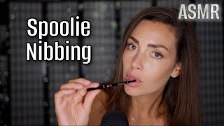 ASMR Spoolie Nibbing Mouth sounds to help you Relax amp Sleep deniceandree [upl. by Arihay]