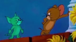 Tom And Jerry English Episodes  Smitten Kitten  Cartoons For Kids [upl. by Lesly189]