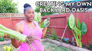 Creating My Own Outdoor Oasis DIY Backyard Garden Makeover Digging Up Giant Elephant Ear Plants [upl. by Erialc]