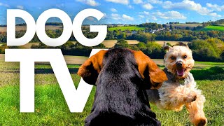 GoPro DogTV  10hrs of Tranquil Virtual Dog Walks Through Peaceful Country Parks 🐾🌳 Dog POV [upl. by Noell]