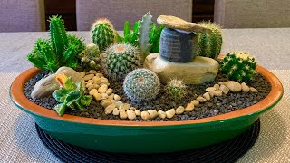 Cacti and Succulents Arrangement [upl. by Bouchier]