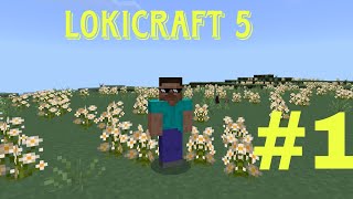 TIME TO MAKE MY SERIES  LOKICRAFT 5  INDIAN GAMERZ  SURVIVAL SERIES 1 [upl. by Oikim]