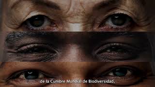 Colombia sede de la Cumbre Mundial de Biodiversidad COP16 [upl. by Idissac]