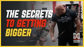 The Top 5 Ways To Get BIGGER In The Gym [upl. by Meek]