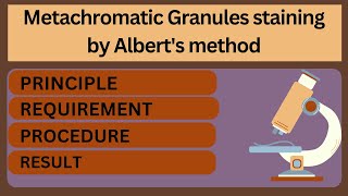 Metachromatic Granules staining by Alberts method  special staining  LIFESCIENCE LEARNER [upl. by Anazus]