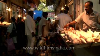 Meat market in Delhi  INA Bazaar [upl. by Yeoz989]