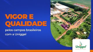 Uniggel Sementes vigor e qualidade por todo o Brasil [upl. by Kimbra]