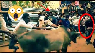 Jallikattu kaalai vidum thiruvizha katpadi [upl. by Welcher]