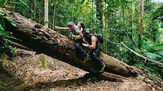 Hiking Bukit 300 Teluk Batik Perak  Nov 2023 [upl. by Reiko]