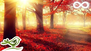 Beautiful Romantic Music Relaxing Music Piano Music Violin Music Guitar Music Sleep Music ★101 [upl. by Leventhal]