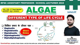 LIFE CYCLE IN ALGAE  शैवाल में विभिन्न प्रकार के जीवन चक्र  DIPLONTIC HAPLONTIC LIFE CYCLE [upl. by Naitsirc598]