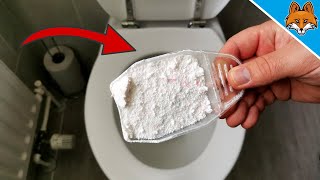 Dump WASHING POWDER into your Toilet and WATCH WHAT HAPPENS 💥 [upl. by Bose]