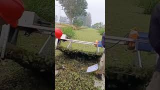 Fish pond duckweed feed collection process [upl. by Atilrep]