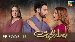 Sila E Mohabbat  Episode 19  HUM TV Drama  8 November 2021 [upl. by Enialed756]